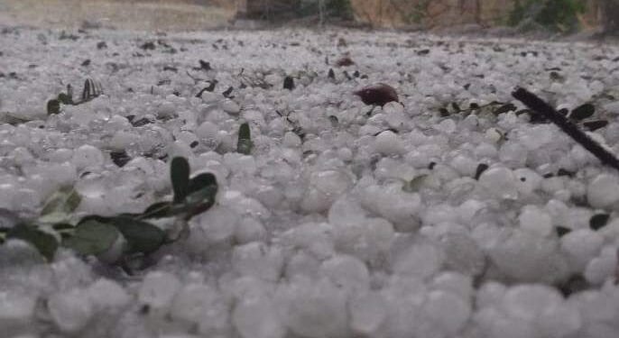 लातुरात गारपिटीचा परिणाम, काळे शिवार झाले पांढरे !