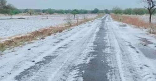 मराठवाड्यात अवकाळीचा तडाखा, वीज पडून चौघांचा मृत्यू; लहान-मोठी 54 जनावरेही दगावली….