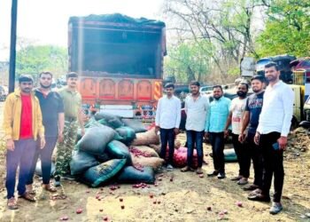 समोर कांद्याची पोती लावून 8 टन गोमांसाची वाहतूक !