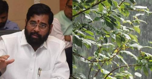 सततचा पाऊस आता नैसर्गिक आपत्ती म्हणून घोषित; शेतकऱ्यांसाठी मोठा निर्णय, जाणून घ्या नेमके निकष