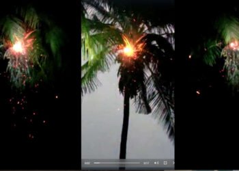 VIDEO :- बापरे….! नारळाच्या झाडावर वीज पडल्याने पहा काय झाले….