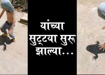 सुटट्या सूरू झाल्या . 😆😄🤩