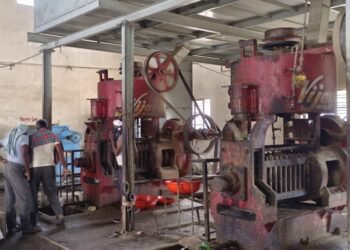 गरीब शेतकऱ्यांचं तूप म्हणजे करडीचे तेल.