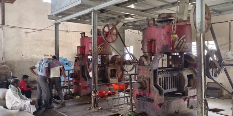 गरीब शेतकऱ्यांचं तूप म्हणजे करडीचे तेल.