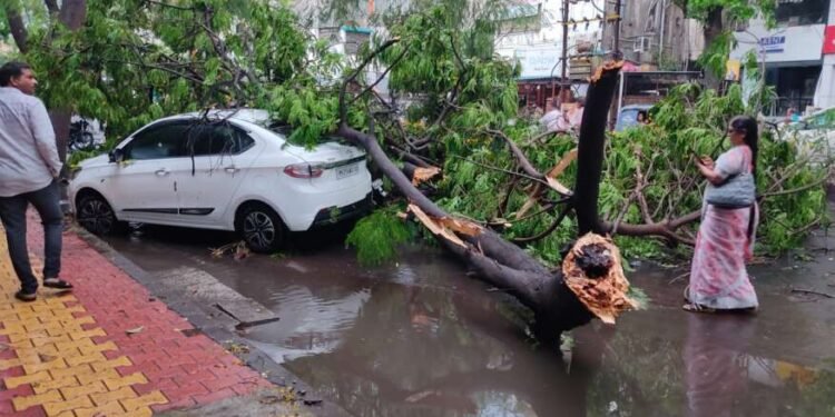 ब्रेकींग ! सोलापुरात वादळी वाऱ्यासह पडलेल्या पावसाने शहरात मोठे नुकसान ; पावसाचे रौद्ररूप पहा या फोटो आणि व्हिडिओमधून….