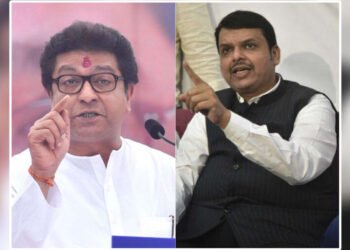 कर्नाटक निकाल :- राज ठाकरेंच्या वक्तव्यावर फडणवीस यांची प्रतिक्रिया….