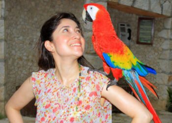 पुण्यात 100 हून अधिक दुर्मिळ विदेशी पक्ष्यांचं प्रदर्शन…..