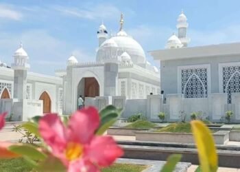 आईसाठी कायपण ! करोडो रुपये खर्च करून आईसाठी बांधला दुसरा ‘ताजमहाल’; कोण आहे हा उद्योगपती….