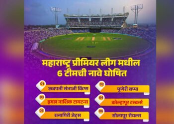 महाराष्ट्र प्रीमियर लीगमध्ये पण बघायला मिळणार CSK टीम..