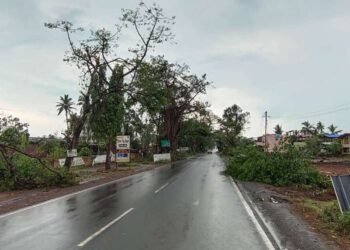 मनमाड परिसरात वादळ – झाडे उन्मळून पडली, विजेचे खांब पडले, घरे कोसळली….