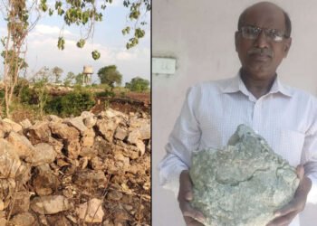 वणी जवळ विरकुंड परिसरात डायनोसॉरचं जीवाष्म सापडल्याचा दाला संशोधकांनी केला आहे…