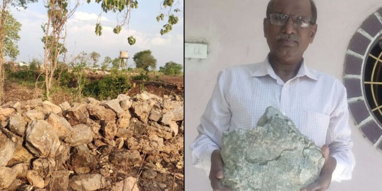 वणी जवळ विरकुंड परिसरात डायनोसॉरचं जीवाष्म सापडल्याचा दाला संशोधकांनी केला आहे…