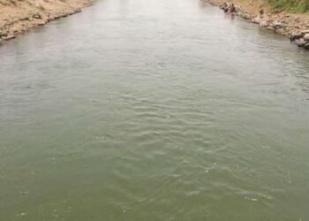 दुष्काळग्रस्त भागातील कालव्यात 52 वर्षांनी आलं पाणी, गावकऱ्यांकडून वाजत गाजत स्वागत….