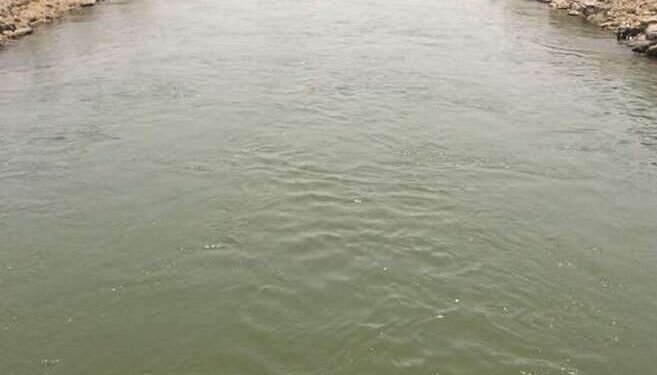 दुष्काळग्रस्त भागातील कालव्यात 52 वर्षांनी आलं पाणी, गावकऱ्यांकडून वाजत गाजत स्वागत….