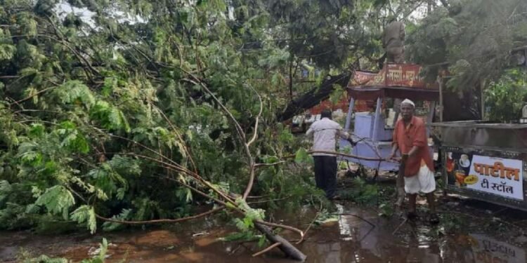संभाजीनगरमधील दहा हजार घरांची वीज गुल; झाडंही उन्मळून पडली….
