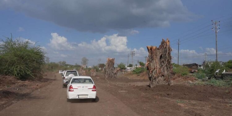 देशात पर्यावरण संरक्षण आणि संवर्धनासोबत पायाभूत सुविधांचा विकास होत आहे….