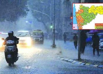 6 जिल्ह्यांना Orange Alert, लवकरच पावसाचं तीव्र रुप दिसणार ?