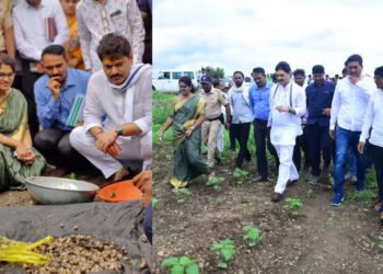 कृषिमंत्री होताच धनंजय मुंडे पोचले शेतकऱ्यांच्या बांधावर….