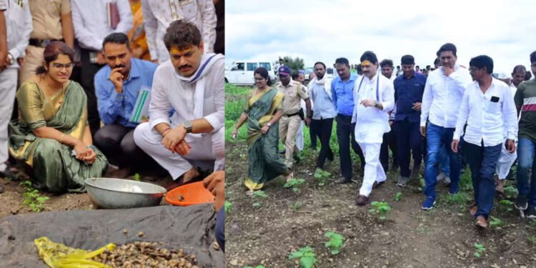 कृषिमंत्री होताच धनंजय मुंडे पोचले शेतकऱ्यांच्या बांधावर….