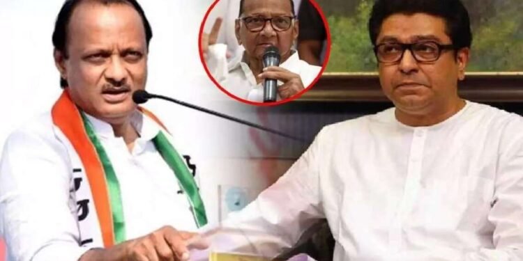 राष्ट्रवादीची एक टीम सत्तेत गेली, दुसरीही लवकरच जाईल : राज ठाकरे