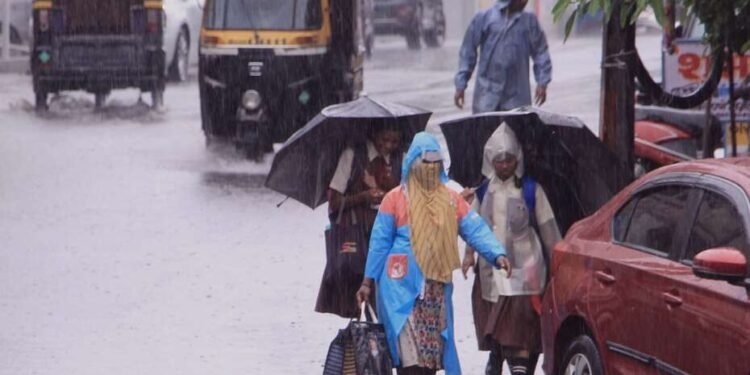 सोलापूर दिवसभर रिमझिम….