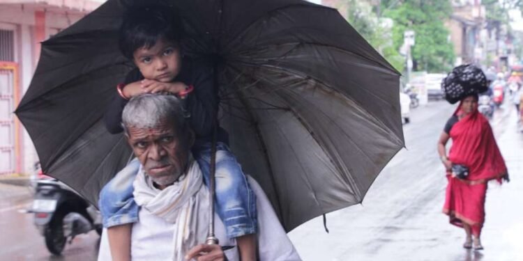 सोलापूरात दिवसभर सतत पावसाची रिपरिप सुरू….