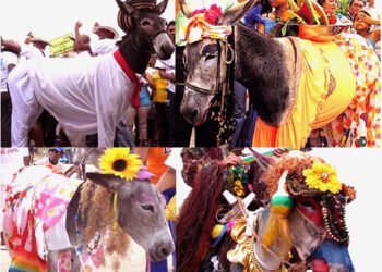 गाढवांच्या लग्नामुळे पाऊस पडतो? अक्कलकोटमधील गाढवाच अनोखं लग्न ….