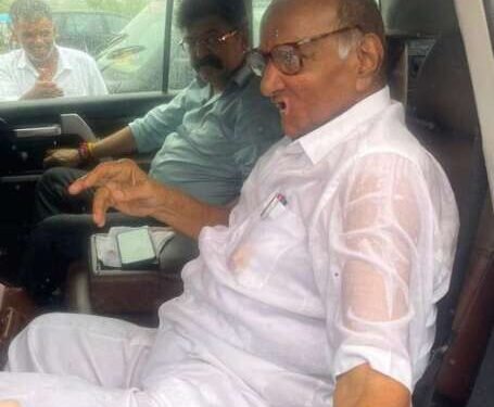 शरद पवारांचा नाशिकला जातानाचा हा पावसात भिजलेला फोटो सोशल मीडियावर व्हायरल होत आहे..