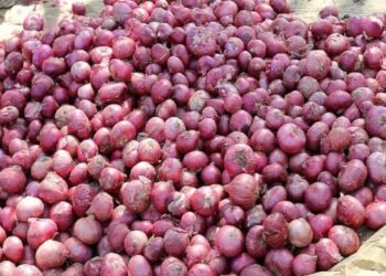 नाशिक जिल्ह्यातील कांदा व्यापाऱ्यांचा बंद सुरूच