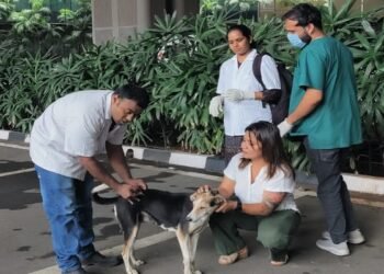 बीएमसीच्या पुढाकाराने मुंबई आंतरराष्ट्रीय विमानतळावर भटक्या श्वानांचे रेबिज लसीकरण सुरू