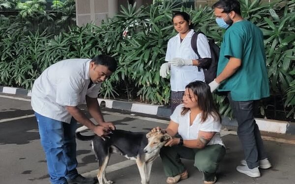 बीएमसीच्या पुढाकाराने मुंबई आंतरराष्ट्रीय विमानतळावर भटक्या श्वानांचे रेबिज लसीकरण सुरू