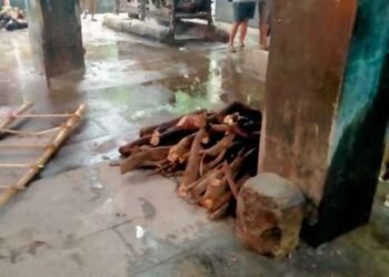 डोंबिवली : शिवमंदिर स्मशानभूमीची अवस्था दयनीय