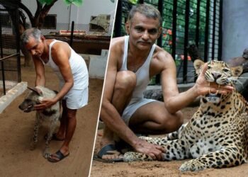 वैद्यकीय व्यवसायातील विद्यार्थ्यांनी सेवाभावी वृत्ती जोपासून काम करावे : डॉ. प्रकाश आमटे