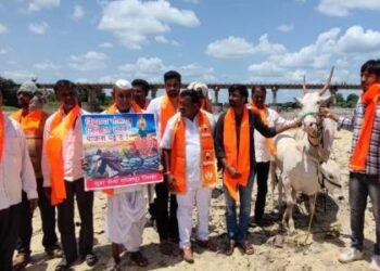 दुष्काळग्रस्त जिल्हा जाहीर करण्यासाठी जनावरे घेऊन भिमा नदीपात्रात आंदोलन