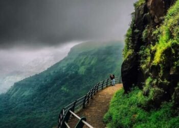 पाऊस आणि शुभ्र खळखळत फेसाळत येणारे धबधबे, अनुभवायचे असेल तर माळशेज घाटात जायलाच हवे….