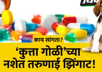 मालेगावात ‘कुत्ता गोळी’चा साठा जप्त, पाच जणांना अटक, एक फरार; काय आहे कुत्ता गोळी?