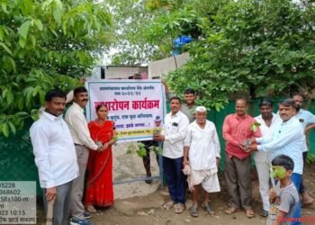 भेंड (ता. माढा) माझी वसुंधरा अभियानातर्गत एक कुटुंब, एक वृक्ष मोहिम…..
