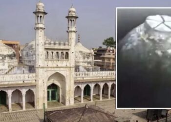 ज्ञानवापी : हायकोर्टाने फेटाळली बिगरहिंदूंच्या प्रवेश बंदीची याचिका