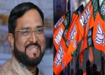 भाजपचा सोलापूर लोकसभा मतदारसंघातील उमेदवार निश्चित नाही – अमर साबळे