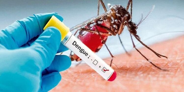 पुणे शहरात डेंग्यूचे ९२५ संशयित रुग्ण