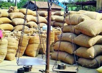 भंडारा जिल्ह्यात हजारो क्विंटल धान बेपत्ता