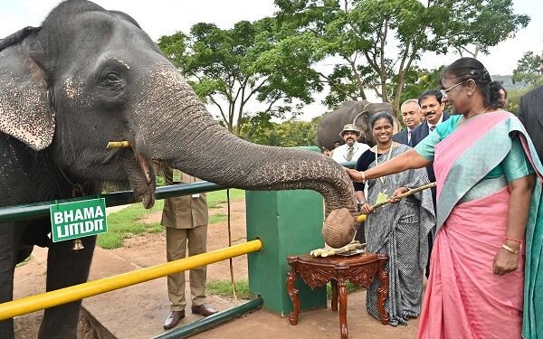 हत्तींचे संरक्षण करणे राष्ट्रीय जबाबदारी – राष्ट्रपती
