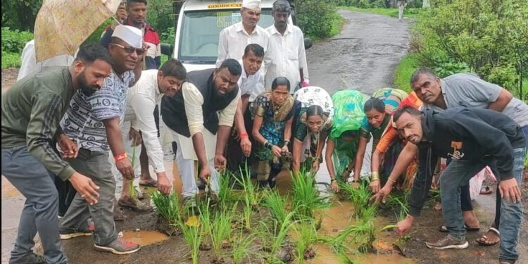 इगतपुरी : रस्त्यात भात लागवड करून अनोखे आंदोलन……