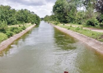 सोलापूर :- नीरा उजवा कालव्यातून पाणी सोडण्याची मागणी