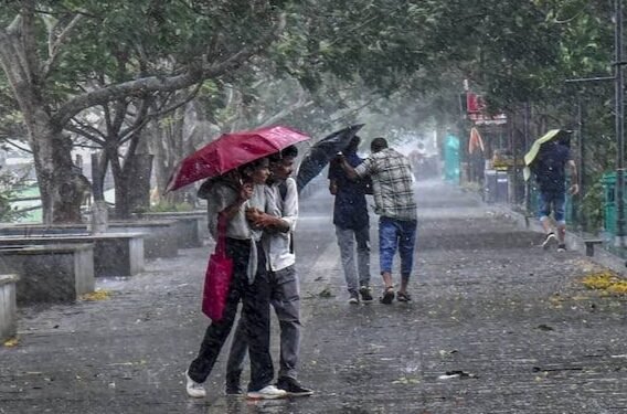 पुढील आठवडाभर राज्यात पावसाचा अंदाज