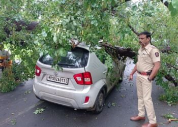 भंडारा : चालत्या कारवर कोसळले झाड, चार जण जखमी