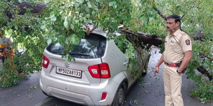 भंडारा : चालत्या कारवर कोसळले झाड, चार जण जखमी