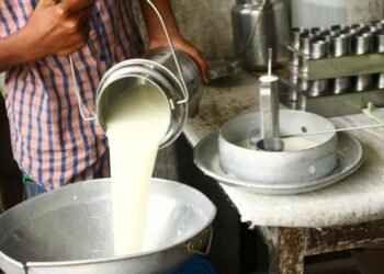 उत्तम दर्जाच्या दुग्ध पदार्थांची विक्री करावी- पारधे