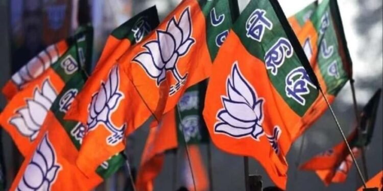 त्रिपुरातील दोन जागांवर भाजप विजयी