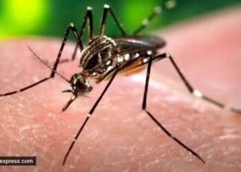 पुण्यात वाढतोय डेंगीचा ताप